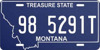 MT license plate 985291T