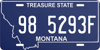 MT license plate 985293F