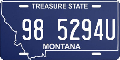 MT license plate 985294U