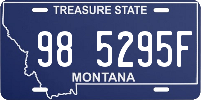 MT license plate 985295F