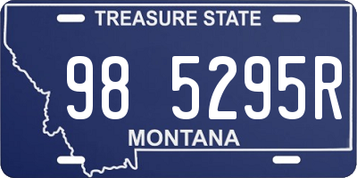 MT license plate 985295R