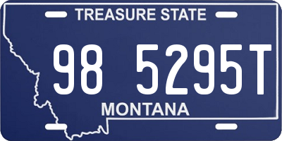 MT license plate 985295T