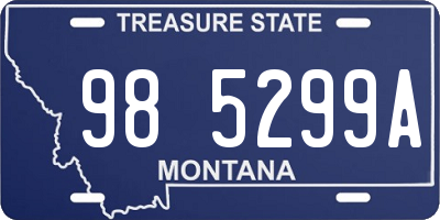 MT license plate 985299A