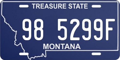 MT license plate 985299F