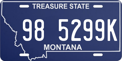 MT license plate 985299K