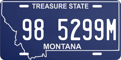 MT license plate 985299M