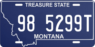 MT license plate 985299T