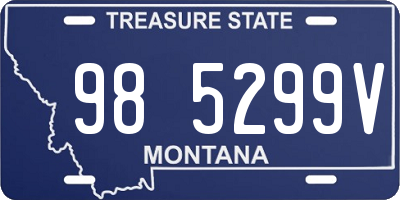 MT license plate 985299V