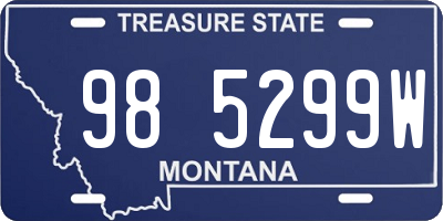 MT license plate 985299W