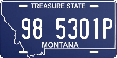 MT license plate 985301P