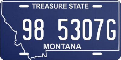 MT license plate 985307G