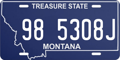 MT license plate 985308J