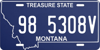 MT license plate 985308V