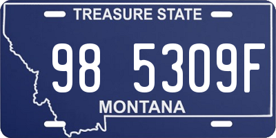 MT license plate 985309F