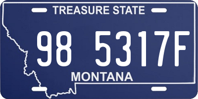 MT license plate 985317F