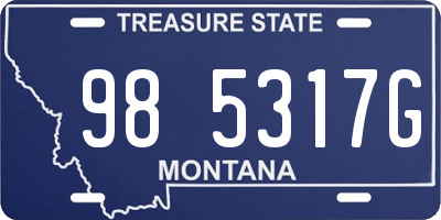 MT license plate 985317G