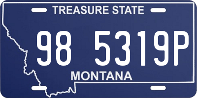 MT license plate 985319P