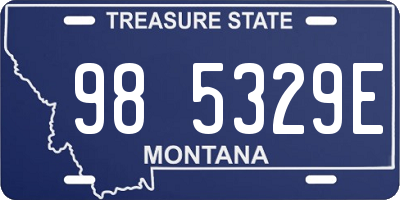 MT license plate 985329E