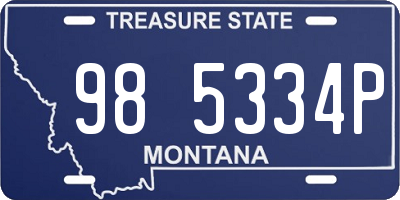 MT license plate 985334P