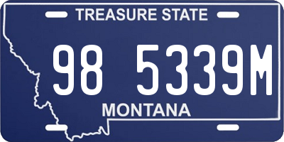 MT license plate 985339M