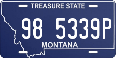 MT license plate 985339P