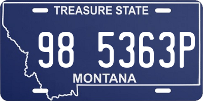 MT license plate 985363P