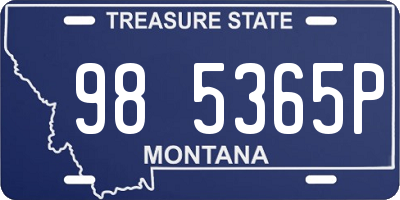 MT license plate 985365P