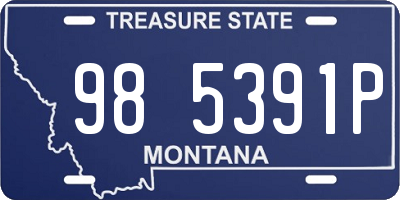 MT license plate 985391P