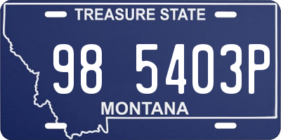 MT license plate 985403P