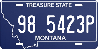 MT license plate 985423P