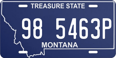 MT license plate 985463P