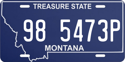 MT license plate 985473P