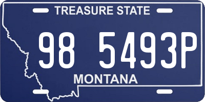 MT license plate 985493P