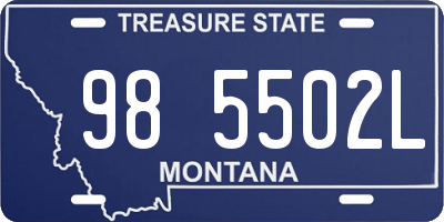 MT license plate 985502L
