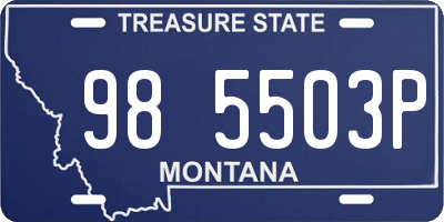 MT license plate 985503P