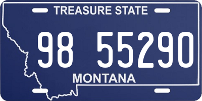 MT license plate 985529O