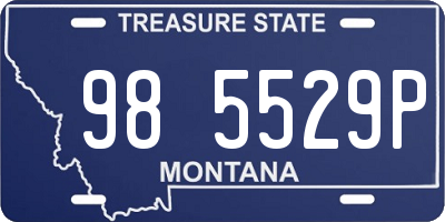 MT license plate 985529P