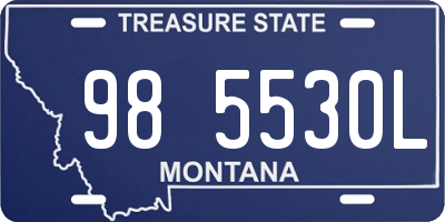 MT license plate 985530L