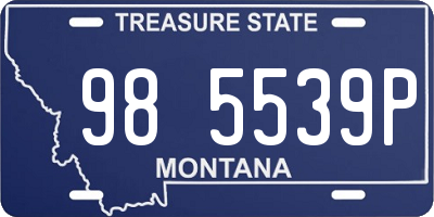 MT license plate 985539P