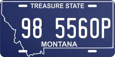 MT license plate 985560P