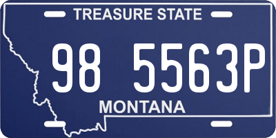 MT license plate 985563P