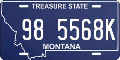 MT license plate 985568K