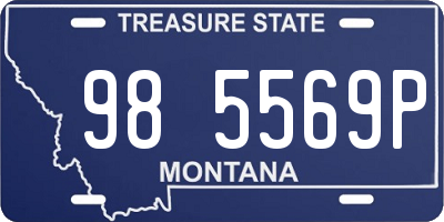 MT license plate 985569P