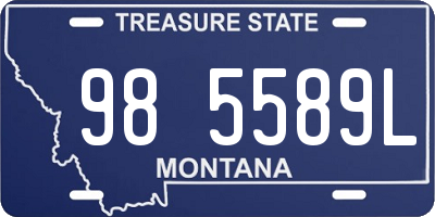 MT license plate 985589L