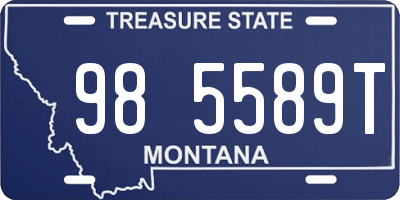 MT license plate 985589T