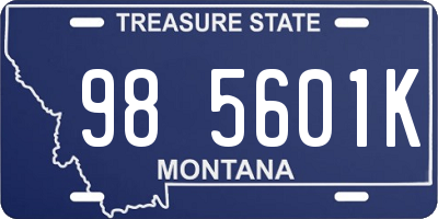 MT license plate 985601K