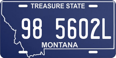 MT license plate 985602L