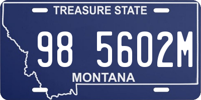 MT license plate 985602M