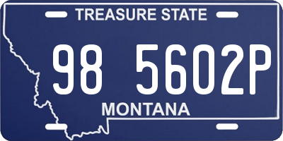 MT license plate 985602P