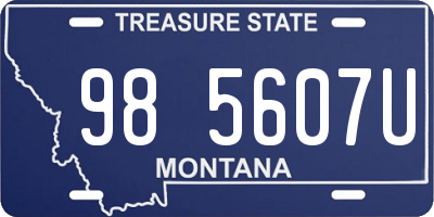 MT license plate 985607U